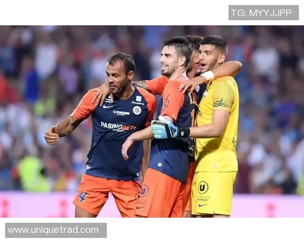 傅托沙尼与沃伦塔利比赛前瞻及比分预测分析